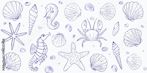 A beautiful collection of hand drawn seashells seahorses starfish and crabs