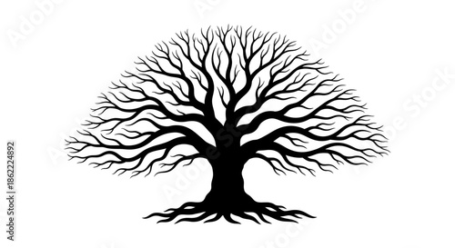 Bare tree silhouette with exposed roots on white background