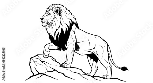 Majestic lion standing proudly on rocky outcrop in wild