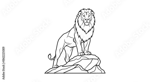 Majestic lion standing on rocky outcrop in powerful stance