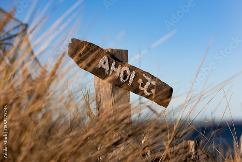 Holzschild mit der Aufschrift „Ahoi“ zwischen Dünengras an der Ostseeküste bei klarem blauem Himmel. Das Motiv steht für maritime Begrüßung, Küstengefühl und norddeutsche Strandatmosphäre.