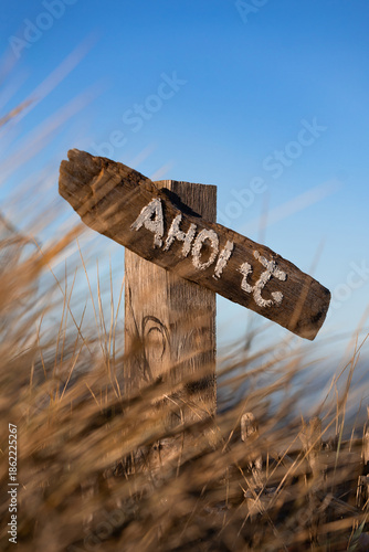 Holzschild mit der Aufschrift „Ahoi“ zwischen Dünengras an der Ostseeküste bei klarem blauem Himmel. Das Motiv steht für maritime Begrüßung, Küstengefühl und norddeutsche Strandatmosphäre.