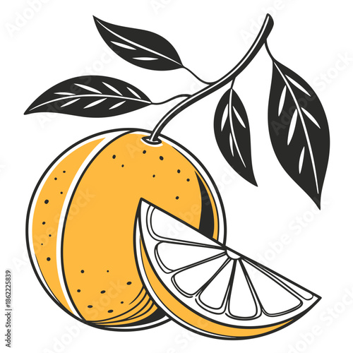 Vibrant Orange with Leaves and Slice Illustration