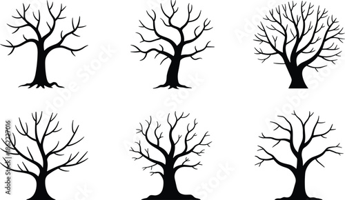 Six stylized leafless tree silhouettes with varied branching patterns on white background, perfect for art, design, and botanical themes