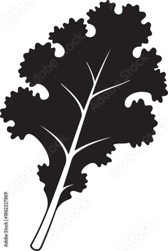 Black and white silhouette of kale leaf isolated on white background