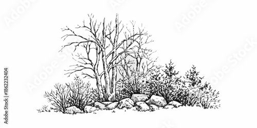 A delicate black and white sketch depicting barren trees and rocky ground