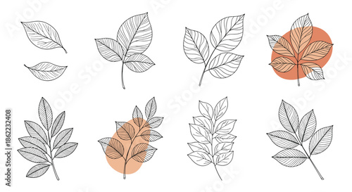 Seamless pattern design featuring delicate line art illustrations of Monstera deliciosa leaves on a blue background.