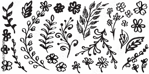 Collection of hand drawn botanical illustrations featuring various floral and foliage elements