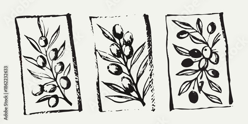 Simple black and white sketch of three olive branch arrangements in rectangles