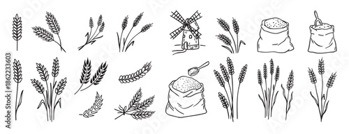 wheat and cereal plants, rye barley and ears of wheat in bag doodle hand drawn icon set. Outline drawing ears of wheat line clipart symbol collection