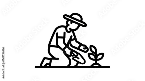 Farmer planting young seedling in soil