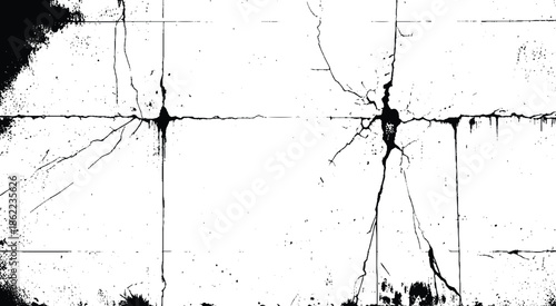 Dry Cracked Ground Texture. Fractured Surface Black and White Texture