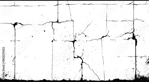 Dry Cracked Ground Texture. Fractured Surface Black and White Texture
