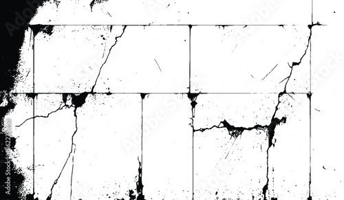 Abstract Crack Pattern Illustration. 