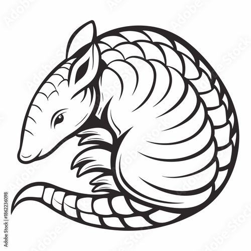 Armadillo curls into a defensive ball shape shown in a detailed black and white stylized drawing.