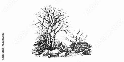 A monochrome sketch depicting barren trees and rocky terrain