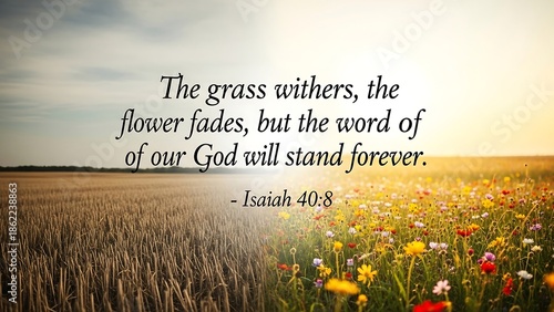 Inspirational quote on serene landscape background.
