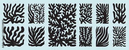 coral abstract shape matisse geometric set. poster organic art coral poster.contemporary minimal style. trendy boho marine corals illustrations