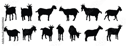 goat and goat kid silhouette set. goat and goat kid isolated farm animal silhouette icon vector collection