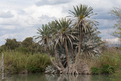 Spring exotic landscape in inclement weather during the daytime