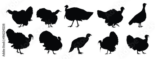 turkey silhouette set. turkey isolated farm animal silhouette icon vector collection