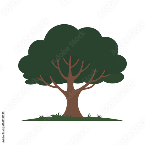 Simple deciduous tree illustration stands against white.