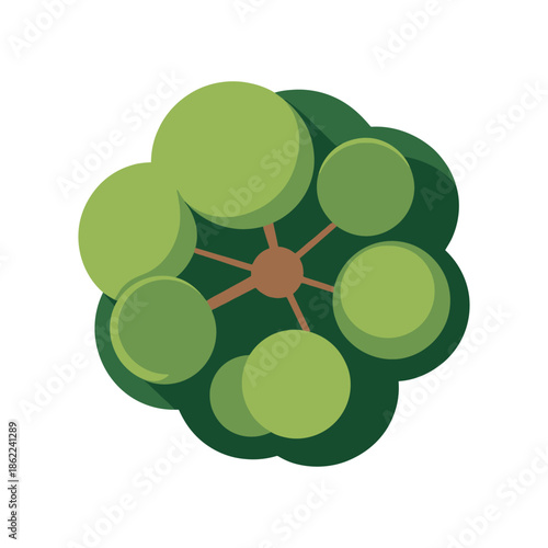 Overhead view of dense green tree canopy with dark shadows.