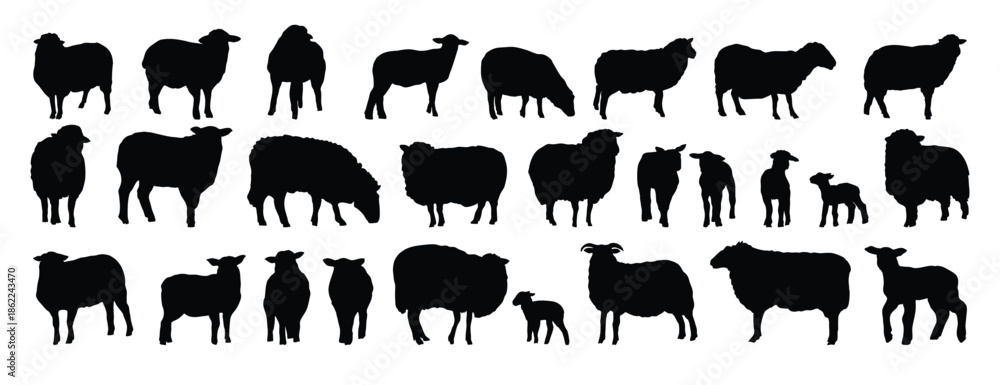 Obraz premium sheep silhouette set. sheep and lamb isolated farm animal silhouette icon vector collection