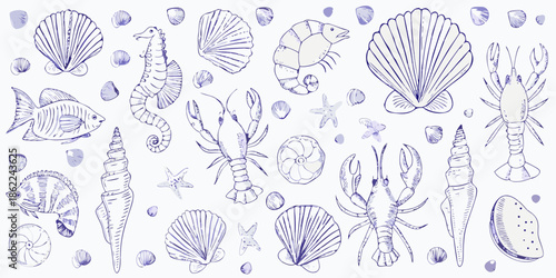 A charming collection of hand drawn marine life and seashells in blue tones