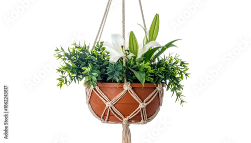 Hanging brown pot with green foliage and white flowers against a black backdrop
