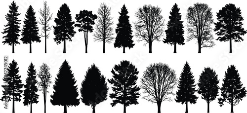 Black silhouettes of various trees on white background