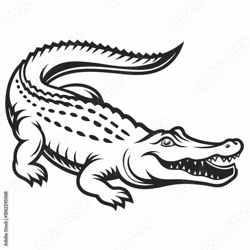 vector illustration of a cartoon crocodile