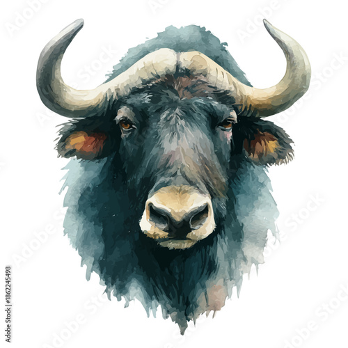 Yak Head in watercolor painting style, vector illustration on white background.