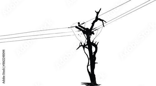 Dead tree merged with electric power lines silhouette vector illustration symbolizing nature and utility infrastructure contrast isolated black design