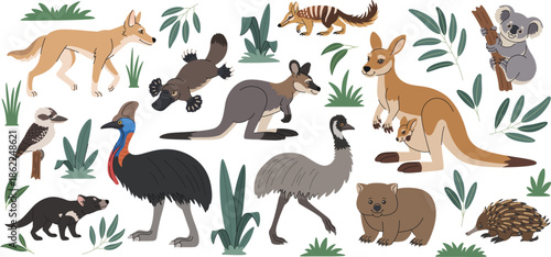 Australian animals set. Cartoon Australian inhabitants, marsupials, mammals, birds. Kangaroo, wallaby, koala, emu, dingo and platypus and other representatives of Australian and Tasmanian fauna.