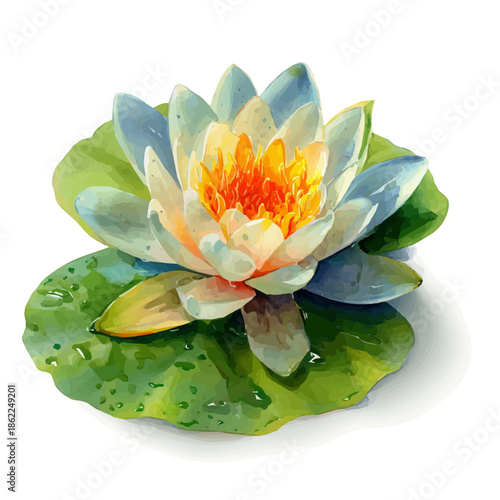 Watercolor painting of Water Lily, vector illustration, isolated on white background.