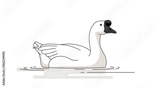 A line drawing of a white waterfowl floating on water. The bird has a black beak and a prominent forehead. It is a simple illustration