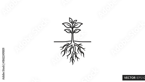 A linear icon features a plant roots spread below, stem rises through a horizontal line, supporting leaves at the top. The artwork uses a minimalist design