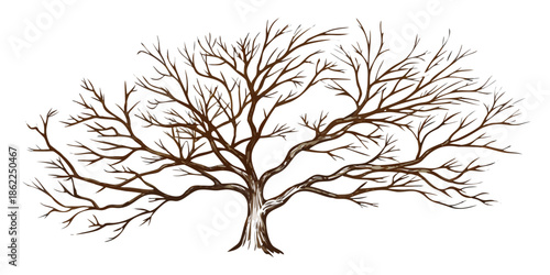 A detailed illustration of a bare tree with intricate branches against black