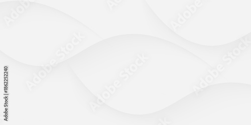 Abstract geometric white and gray curve line gradient Background. with space for concept design Technology and modern.