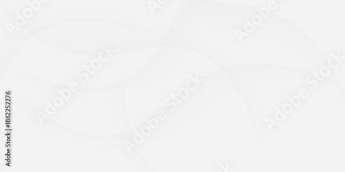 Abstract geometric white and gray curve line gradient Background. with space for concept design Technology and modern.