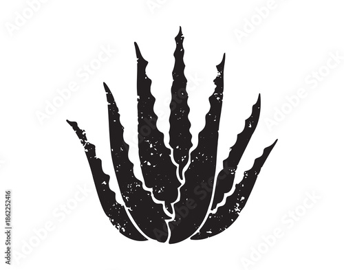 Aloe vera plant silhouette icon doodle hand drawn. Aloe vera logo drawing clipart symbol
