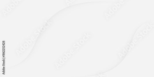 Abstract geometric white and gray curve line gradient Background. with space for concept design Technology and modern.