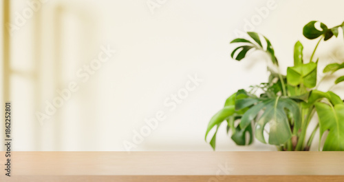 table empty room with green plant
