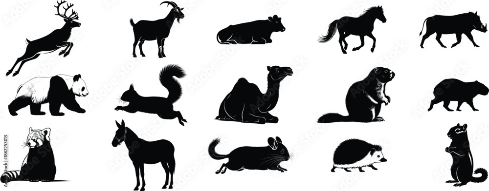 Obraz premium Collection of diverse animal silhouettes on white background