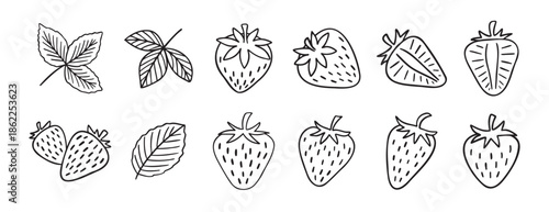 strawberry berries and leaves doodle hand drawn icon set. Outline drawing line clipart symbol collection.