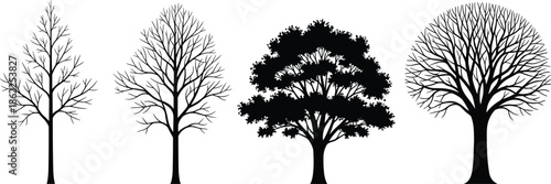 Tree silhouettes set showing bare and leafy trees in different shapes, natural forest elements isolated on white background for landscape, nature, and design concepts