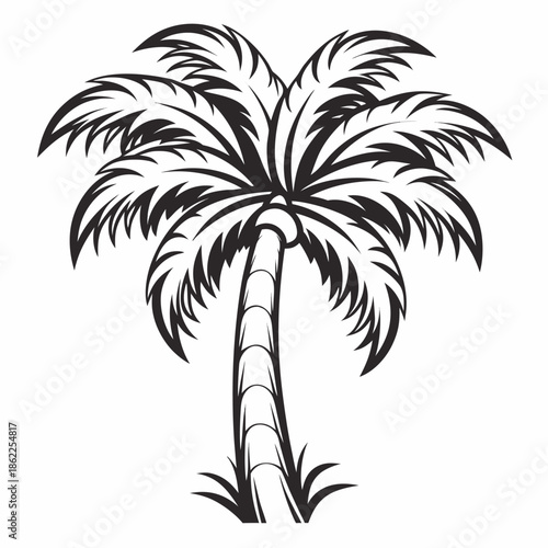A single mature coconut palm tree trunk rises upward crowned with dense, stylized fronds.