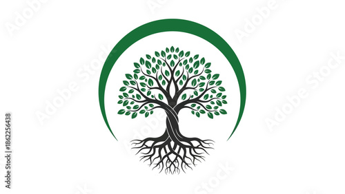A stylized depiction of a lush green tree with visible roots and an encompassing curved arc above its canopy