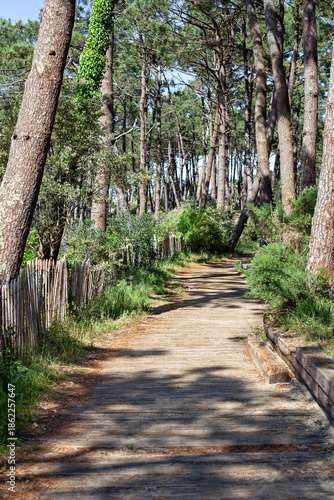 Landscape in South West of France